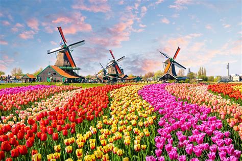 places to visit in netherlands.